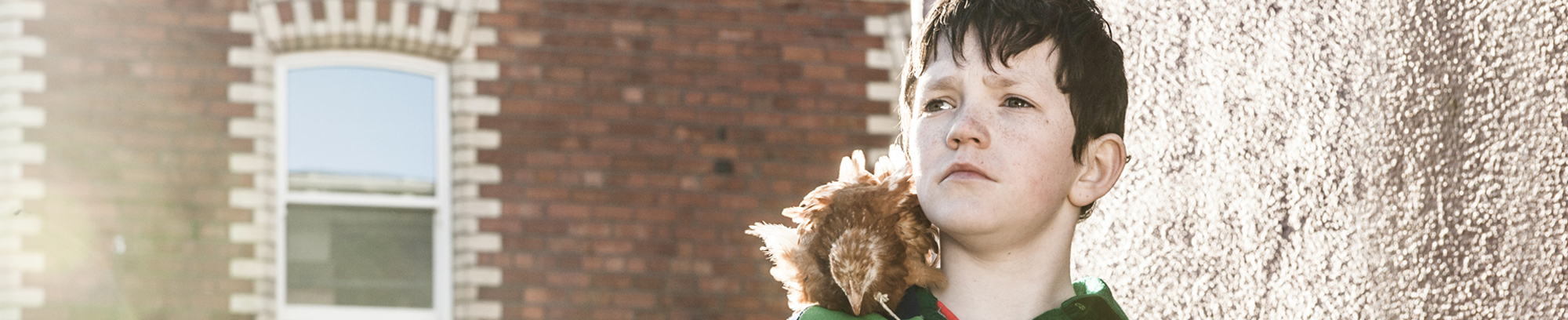 Short Film Schemes Northern Ireland Screen